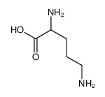 DL-ornithine structure