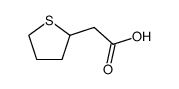 Tetrahydro-2-thiopheneacetic acid picture