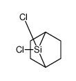 7,7-dichloro-7-silabicyclo[2.2.1]heptane结构式
