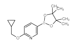 6-Cyclopropylmethoxypyridine-3-boronic acid pinacol ester structure