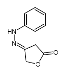 furan-2,4-dione-4-phenylhydrazone Structure