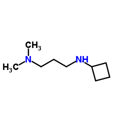 N'-Cyclobutyl-N,N-dimethyl-1,3-propanediamine Structure