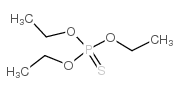 O,O,O-TRIETHYLPHOSPHOROTHIOATE picture