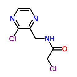 2-Chloro-N-[(3-chloro-2-pyrazinyl)methyl]acetamide结构式