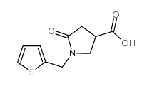 5-OXO-1-(2-THIENYLMETHYL)PYRROLIDINE-3-CARBOXYLIC ACID picture