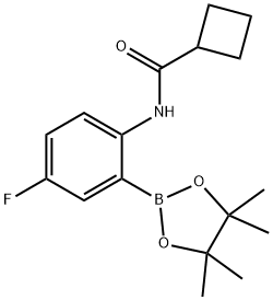 2-(环丁基甲酰胺基)-5-氟苯基硼酸频哪醇酯图片