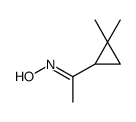 N-[1-(2,2-dimethylcyclopropyl)ethylidene]hydroxylamine Structure