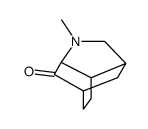 3,6-Methano-7H-indol-7-one,octahydro-1-methyl-(9CI)结构式