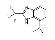 4-tert-butyl-2-(trifluoromethyl)-1H-benzimidazole结构式