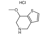7-methoxy-4,5,6,7-tetrahydro-thieno(3,2-c)pyridine hydrochloride Structure