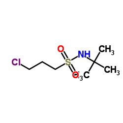 N-(tert-butyl)-3-chloropropane-1-sulfonamide Structure