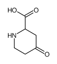 (S)-4-氧代哌啶-2-羧酸结构式