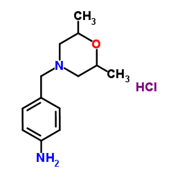 4-[(2,6-Dimethyl-4-morpholinyl)methyl]aniline hydrochloride (1:1)结构式