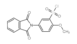 5-(1,3-Dioxo-1,3-dihydro-isoindol-2-yl)-2-methoxy-benzenesulfonyl chloride picture