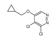 3,4-dichloro-5-(cyclopropylmethoxy)pyridazine Structure