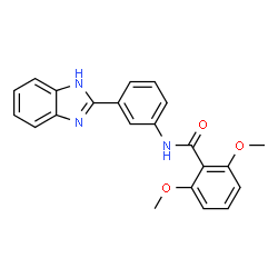 N-[3-(1H-benzimidazol-2-yl)phenyl]-2,6-dimethoxybenzamide结构式