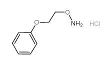 1-[2-(Aminooxy)ethoxy]benzene hydrochloride structure