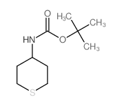 (四氢-2H-噻喃-4-基)氨基甲酸叔丁酯结构式