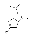(4R,5R)-4-methoxy-5-(2-methylpropyl)pyrrolidin-2-one结构式