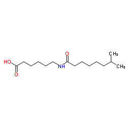 6-[(1-oxomethyloctyl)amino]hexanoic acid Structure