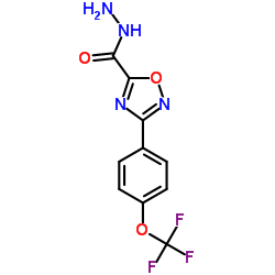 3-(4-(trifluoromethoxy)phenyl)-1,2,4-oxadiazole-5-carbohydrazide structure