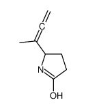 5-buta-2,3-dien-2-ylpyrrolidin-2-one Structure