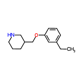 3-[(3-Ethylphenoxy)methyl]piperidine Structure