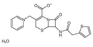 Cephaloridine hydrate picture