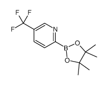 5-TRIFLUOROMETHYLPYRIDINE-2-BORONIC ACID PINACOL ESTER picture