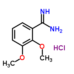 2,3-Dimethoxy-benzamidine HCl Structure