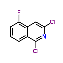 1,3-Dichloro-5-fluoroisoquinoline picture