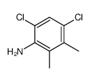 4,6-dichloro-2,3-dimethyl-aniline结构式