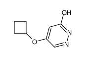 4-cyclobutyloxy-1H-pyridazin-6-one结构式