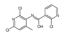 2-chloro-N-(2,6-dichloro-4-methylpyridin-3-yl)pyridine-3-carboxamide结构式