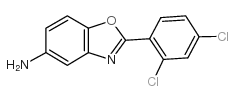 2-(2,4-DICHLORO-PHENYL)-BENZOOXAZOL-5-YLAMINE picture