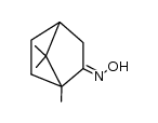 (E)-1,7,7-trimethylbicyclo[2.2.1]heptan-2-one oxime picture