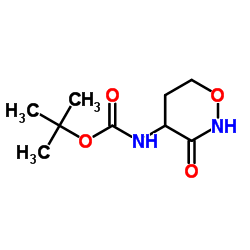 tert-butyl N-(3-oxo-1,2-oxazinan-4-yl)carbamate Structure