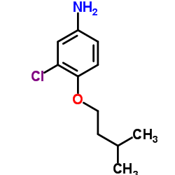 3-Chloro-4-(3-methylbutoxy)aniline结构式