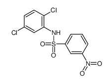N-(2,5-dichlorophenyl)-3-nitrobenzenesulfonamide结构式