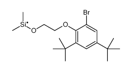 2-(2-bromo-4,6-ditert-butylphenoxy)ethoxy-dimethylsilicon结构式