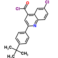 2-(4-tert-butylphenyl)-6-chloroquinoline-4-carbonyl chloride图片