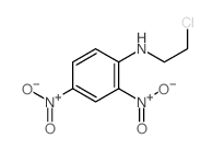 Benzenamine,N-(2-chloroethyl)-2,4-dinitro- structure