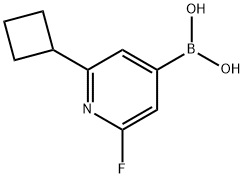 2-Fluoro-6-(cyclobutyl)pyridine-4-boronic acid Structure