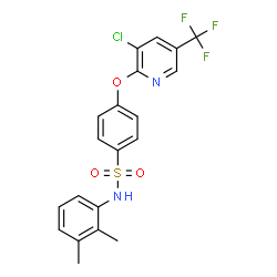 4-([3-CHLORO-5-(TRIFLUOROMETHYL)-2-PYRIDINYL]OXY)-N-(2,3-DIMETHYLPHENYL)BENZENESULFONAMIDE结构式