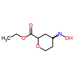 2H-Pyran-2-carboxylicacid,tetrahydro-4-(hydroxyimino)-,ethylester(9CI) picture