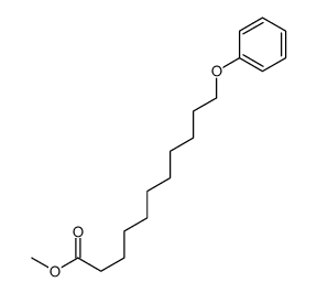 methyl 11-phenoxyundecanoate Structure