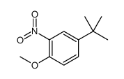 Benzene, 4-(1,1-dimethylethyl)-1-methoxy-2-nitro Structure