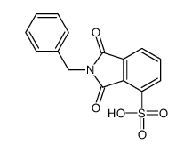 2-benzyl-1,3-dioxoisoindole-4-sulfonic acid结构式