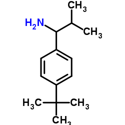 1-(4-tert-butylphenyl)-2-methylpropan-1-amine结构式