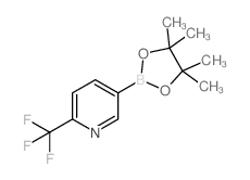 5-(4,4,5,5-TETRAMETHYL-1,3,2-DIOXABOROLAN-2-YL)-2-(TRIFLUOROMETHYL)PYRIDINE Structure